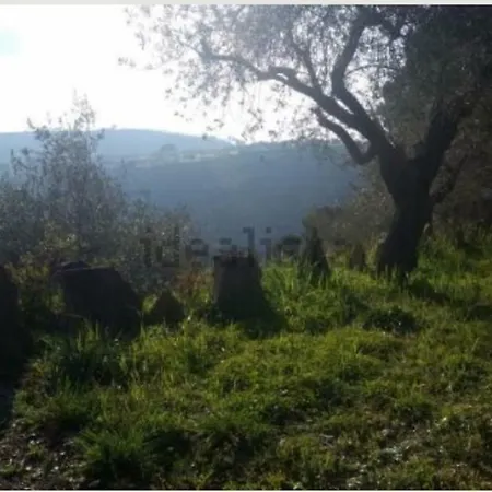 Il Cavaliere Normanno Villa Piazza Armerina